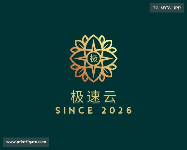 发现极速云